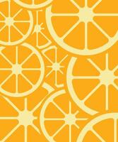 Set of illustration oranges fruits, branches and flowers. modern botanical illustration. Set of citrus tropical fruits. Summer design for pattern, poster, card, fabric, banner, cover. vector