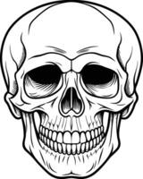 Minimalist Skull Outline Design Illustration vector