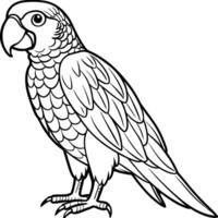 Minimalist Outline Drawing of a Parrot vector