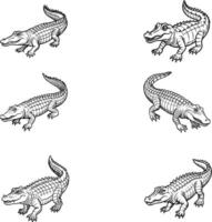 Collection of Simple Crocodile Outlines in Minimalist Style vector