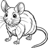 outline drawing of a mouse vector