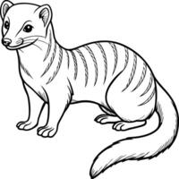 Minimalist Outline of a Mongoose vector