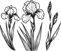 outline iris flower drawing, realistic iris flower drawing, easy iris flower drawing, simple iris flower drawing, iris flower drawing tattoo, simple iris flower outline vector