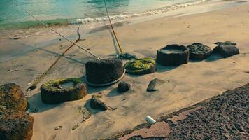 Circular Stone Structures on a Beach video