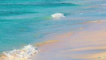 Serene Beach with Gentle Waves video