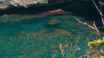 Underwater View of Rocks and Marine Life video