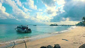 Tranquil Beach Scene with Boat and Palm Trees video