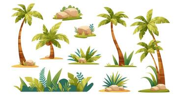 Set of cartoon palm trees on white background. Tropical plants, decoration for summer, beach. elements vector