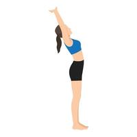 Woman doing Extended Mountain Pose Backbend Interlocked Hands or Utthita Tadasana Backbend Baddhanguliyasana. vector