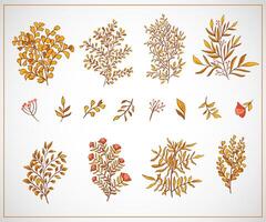 Set of colorful autumn leaves and tree branches isolated on white background. Yellow autumnal garden branches with foliage of different shapes in simple cartoon style vector