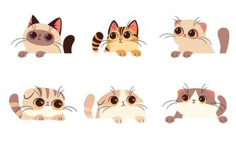 Set of flat illustrations on white background. Cute kittens with big eyes look out from behind white banner. vector