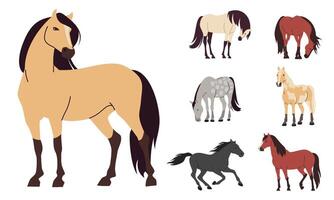 Set of flat illustrations on white background. Horses of different colors and breeds vector
