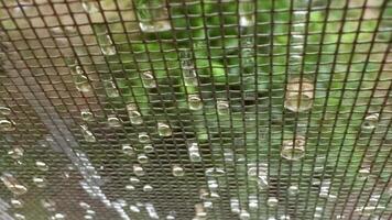 Raindrops on mosquito net, close-up. video