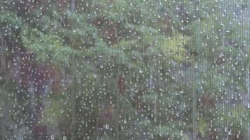 Heavy rain outside window, view through mosquito net. video