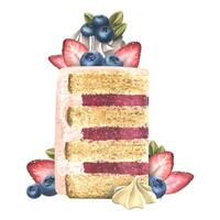 A piece of cake decorated with strawberries, blueberries, meringue and cream. Watercolor illustration. A composition from the collection of SWEETS. For the design and design of menus, recipes, cafes. vector