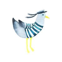 A sea seagull in a vest and a sailor cap. Watercolor illustration, hand drawn, in a children s, style. An isolated objekt on a white background vector