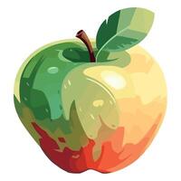 An apple with a green and red color vector