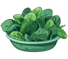 Spinach in a bowl illustration vector
