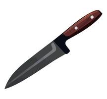 A knife on a white background vector