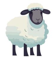 A cartoon sheep standing on a white background vector