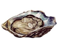 Oyster shell illustration isolated on white background vector