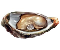 Oyster shell illustration isolated on white background vector