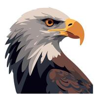 An eagle head with a white background vector