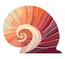 An illustration of a shell with a spiral pattern vector