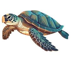 Sea turtle illustration isolated on white background vector