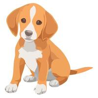 A cute puppy sitting on a white background vector