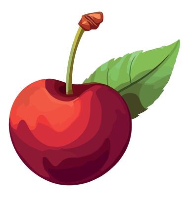 A red cherry with green leaves on a white background