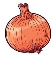 An onion is shown on a white background vector