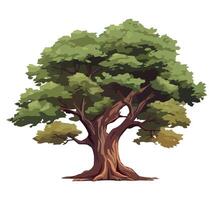 An illustration of a tree with green leaves vector