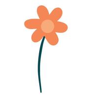 A flower with a stem and petals on a white background vector