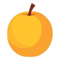 An apple is shown on a white background vector
