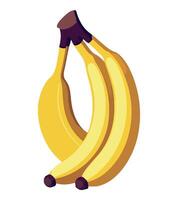 A bunch of bananas on a white background vector