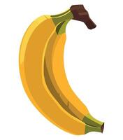 A banana is shown on a white background vector