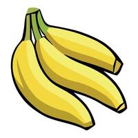A bunch of bananas on a white background vector