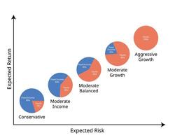 Investment portfolio for assert allocation from conservative, moderate, balanced, growth, high growth vector