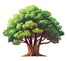 illustration of a big tree isolated on white background vector