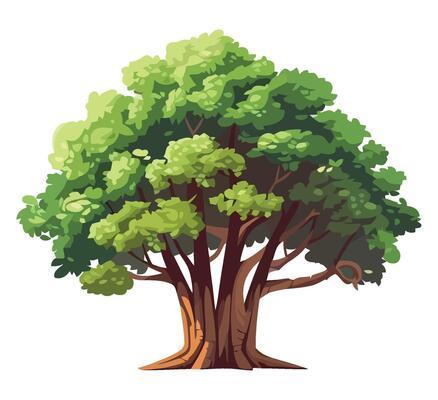 illustration of a big tree isolated on white background