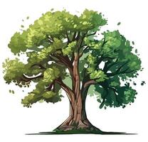 An illustration of a tree with green leaves vector