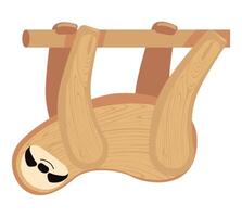 Sloth hanging on a tree branch vector