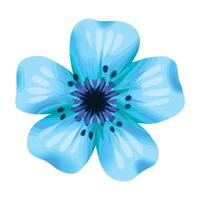 hand drawn Watercolor flower illustration on the white vector