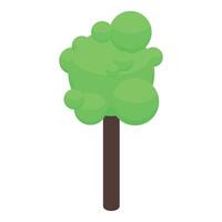Green stylized isometric tree standing alone vector