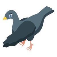 Gray city pigeon walking isometric view vector
