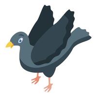 Gray pigeon flapping its wings isometric view vector