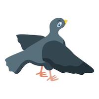 Gray city pigeon spreading its wings vector