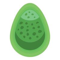 Avocado half showing seed and pulp in cartoon style vector
