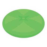 Green persimmon fruit showing star pattern vector